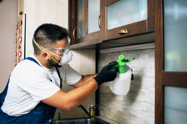 Best Residential Pest Control  in Centreville, MS