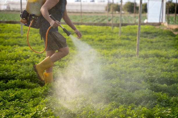 Reliable Centreville, MS Pest Control Solutions