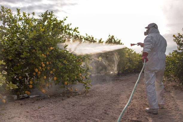 Best Commercial Pest Control Services  in Centreville, MS