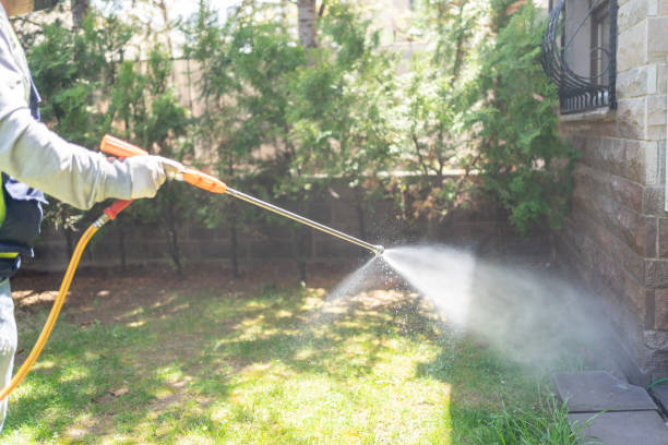 Best Pest Removal Services  in Centreville, MS