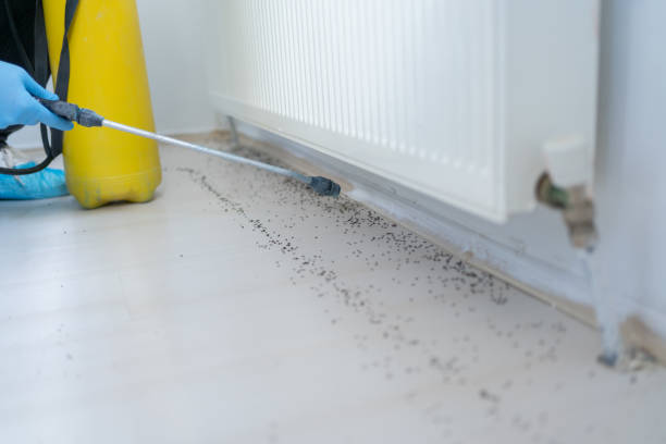 Best Exterminator Services  in Centreville, MS